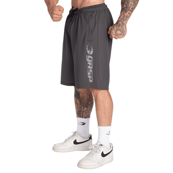 Hovedbilde GASP Original Mesh Shorts, grå treningsshorts