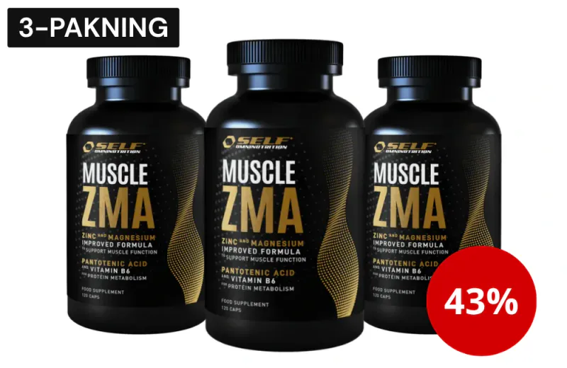 Muscle ZMA Restitusjon og muskelbygging